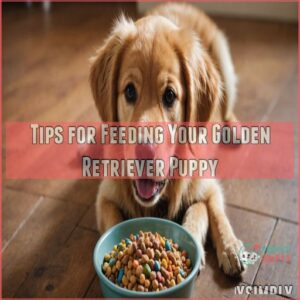 Tips for Feeding Your Golden Retriever Puppy