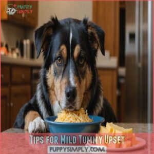 Tips for Mild Tummy Upset