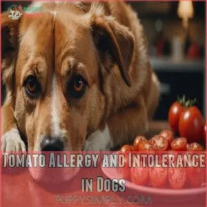 Tomato Allergy and Intolerance in Dogs