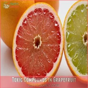 Toxic Compounds in Grapefruit