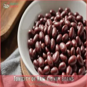 Toxicity of Raw Kidney Beans