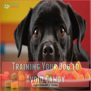 Training Your Dog to Avoid Candy