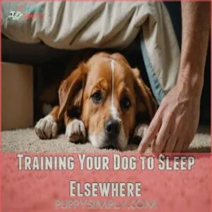 Training Your Dog to Sleep Elsewhere