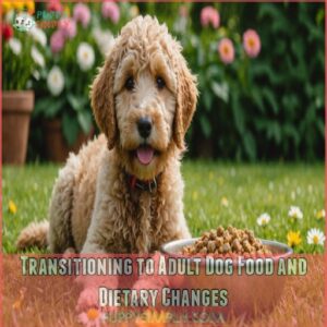 Transitioning to Adult Dog Food and Dietary Changes