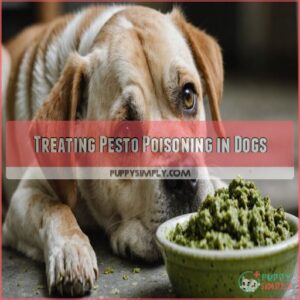 Treating Pesto Poisoning in Dogs