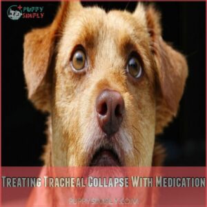 Treating Tracheal Collapse With Medication