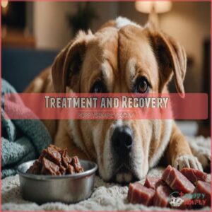 Treatment and Recovery