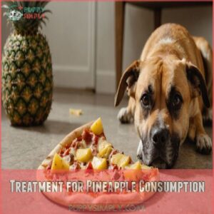 Treatment for Pineapple Consumption