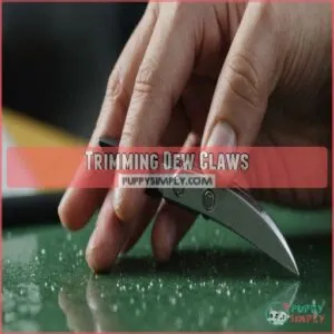 Trimming Dew Claws