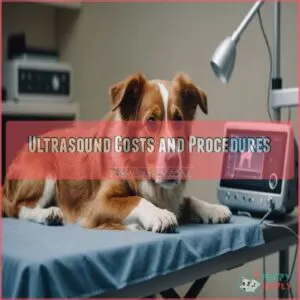 Ultrasound Costs and Procedures