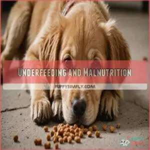 Underfeeding and Malnutrition Underfeeding and Malnutrition