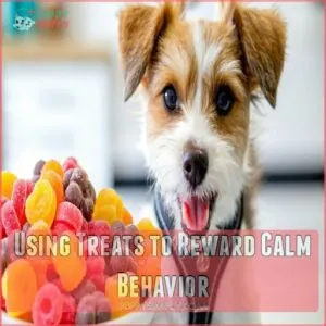 Using Treats to Reward Calm Behavior