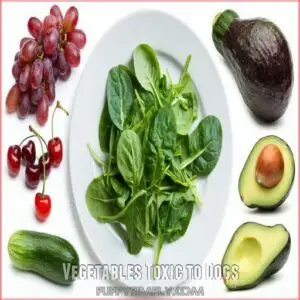 Vegetables Toxic to Dogs