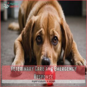 Veterinary Care and Emergency Response