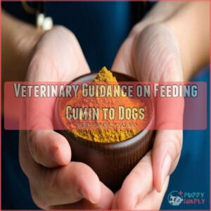 Veterinary Guidance on Feeding Cumin to Dogs