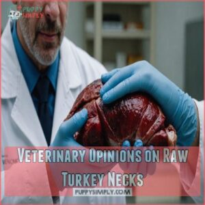 Veterinary Opinions on Raw Turkey Necks