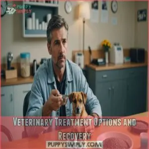 Veterinary Treatment Options and Recovery