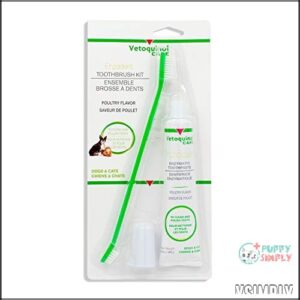 Vetoquinol Enzadent Enzymatic Toothpaste Kit