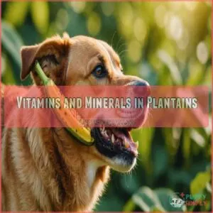 Vitamins and Minerals in Plantains