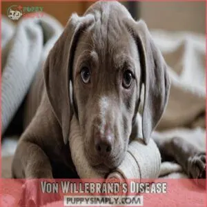 Von Willebrand's Disease