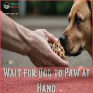 Wait for Dog to Paw at Hand