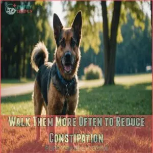 Walk Them More Often to Reduce Constipation