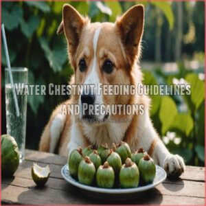 Water Chestnut Feeding Guidelines and Precautions