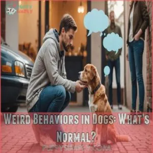 Weird Behaviors in Dogs: What