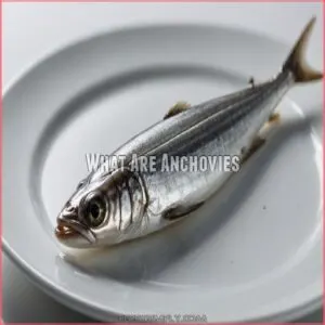 What Are Anchovies