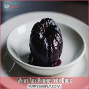 What Are Prunes for Dogs