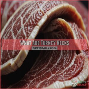 What Are Turkey Necks