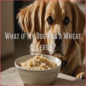 What if My Dog Has a Wheat Allergy