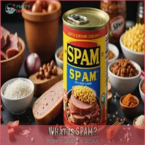 What is SPAM