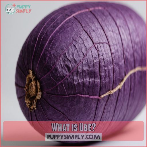 What is Ube What is Ube