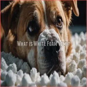 What is White Foam Vomit