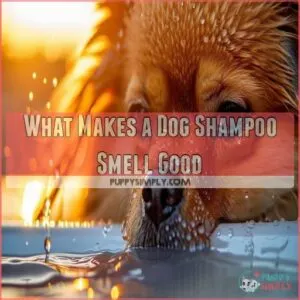 What Makes a Dog Shampoo Smell Good