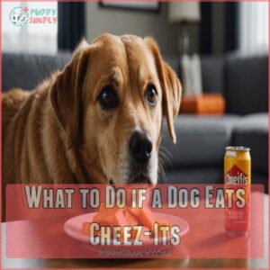 What to Do if a Dog Eats Cheez-Its