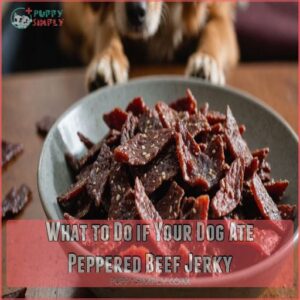 What to Do if Your Dog Ate Peppered Beef Jerky