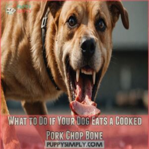 What to Do if Your Dog Eats a Cooked Pork Chop Bone