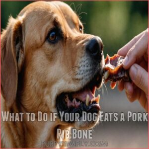 What to Do if Your Dog Eats a Pork Rib Bone