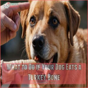 What to Do if Your Dog Eats a Turkey Bone