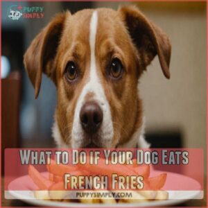 What to Do if Your Dog Eats French Fries