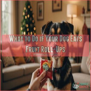 What to Do if Your Dog Eats Fruit Roll-Ups