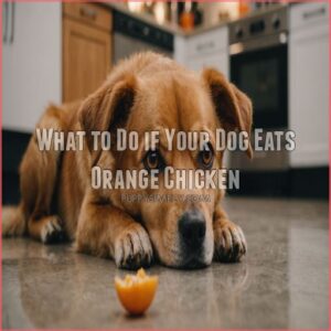 What to Do if Your Dog Eats Orange Chicken