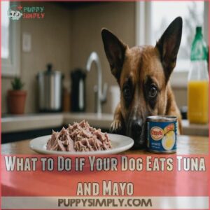 What to Do if Your Dog Eats Tuna and Mayo