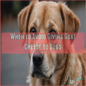 When to Avoid Giving Goat Cheese to Dogs