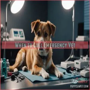 When to Call Emergency Vet