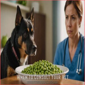 When to Consult Your Vet