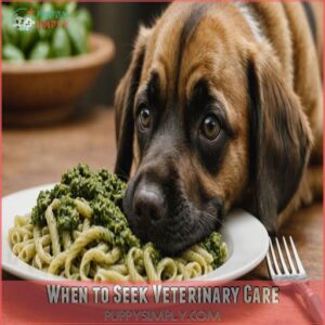 When to Seek Veterinary Care