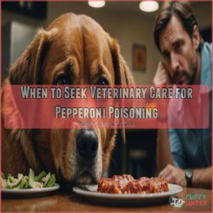 When to Seek Veterinary Care for Pepperoni Poisoning